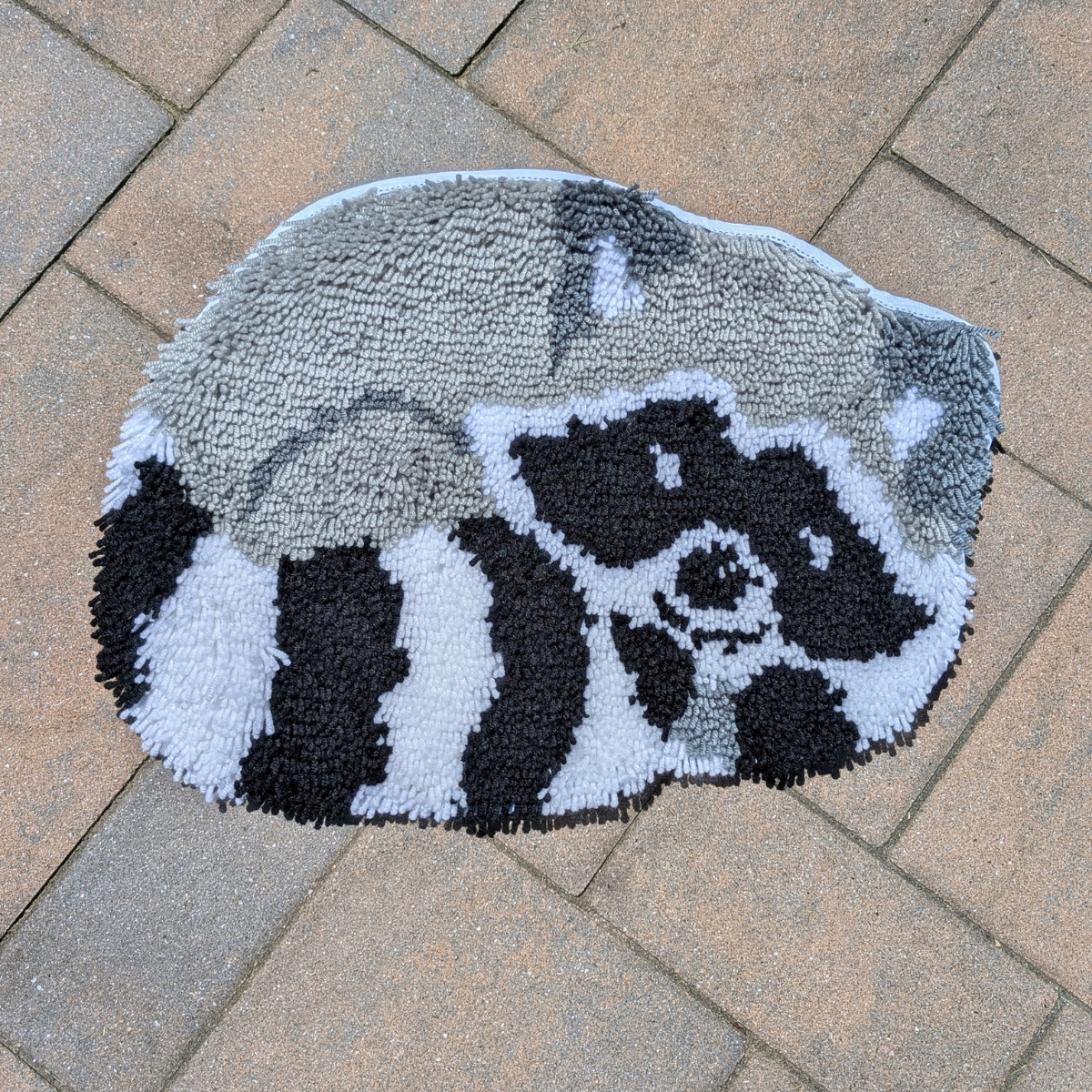 Raccoon Rug